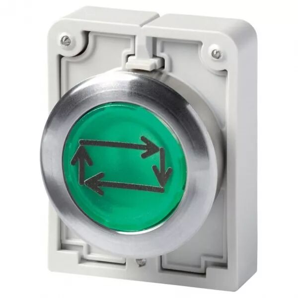 Bouton poussoir lumineux, 30mm, flush, a rappel,vert, avec inscription  (182968)