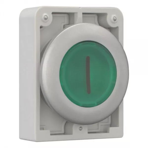BOUTON POUSSOIR LUMINEUX, 30MM, FLUSH, A RAPPEL,VERT, AVEC INSCRIPTION