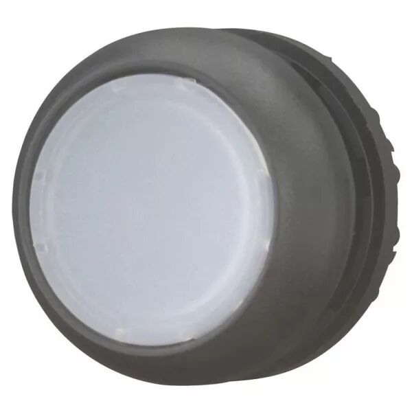 Bouton-poussoir lumineux, plat, blanc, � rappel (216924)