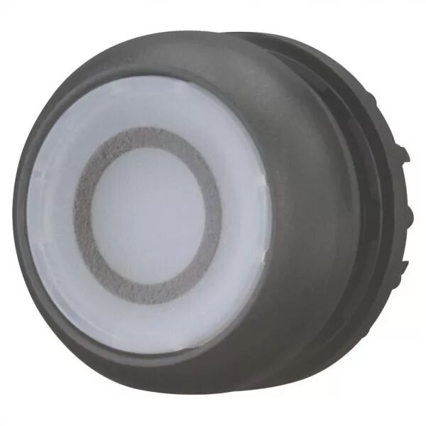 Bouton-poussoir lumineux, plat, blanc 0, � rappel (216941)