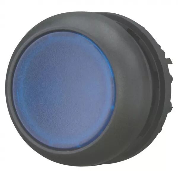 Bouton-poussoir lumineux, plat, bleu, � accrochage (216953)