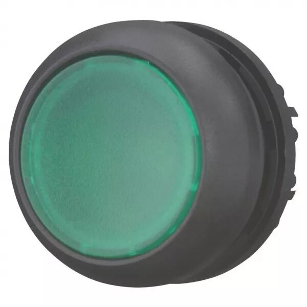 Bouton-poussoir lumineux, plat, vert, � rappel (216928)