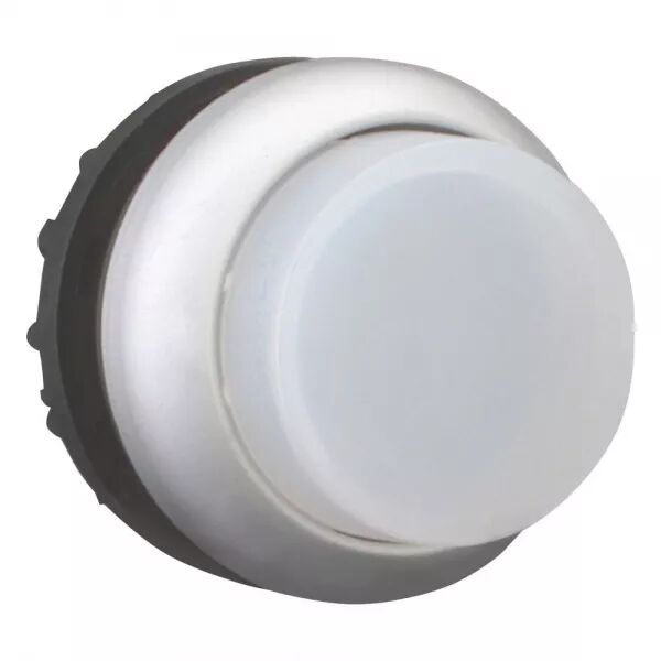 BOUTON-POUSSOIR LUMINEUX, SAILLANT, BLANC, � ACCROCHAGE