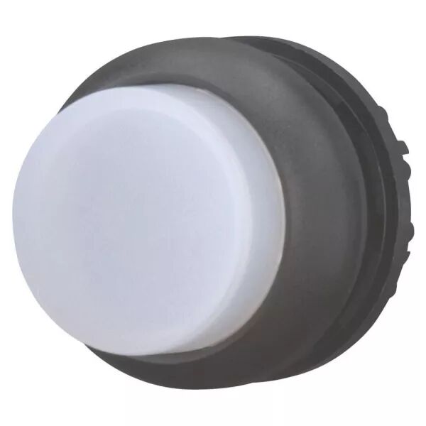 Bouton-poussoir lumineux, saillant, blanc, � rappel (216966)