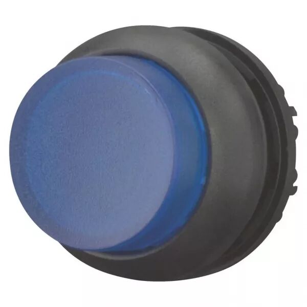Bouton-poussoir lumineux, saillant, bleu, � rappel (216974)
