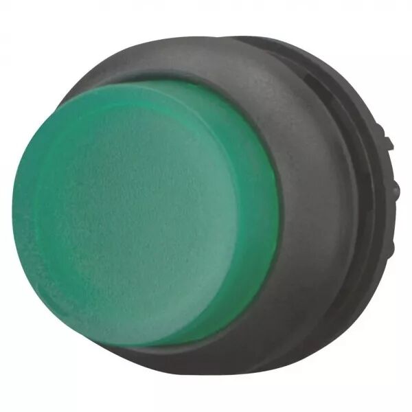 Bouton-poussoir lumineux, saillant, vert, � accrochage (216798)