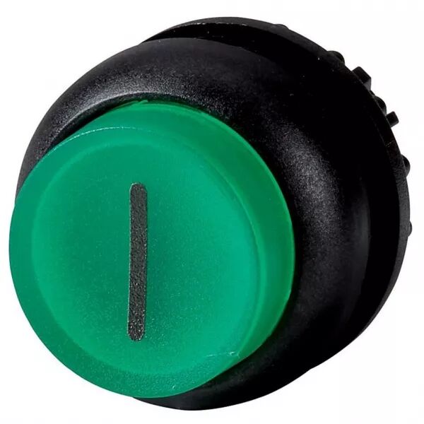Bouton-poussoir lumineux, saillant, vert I, � accrochage (216809)