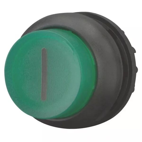 Bouton-poussoir lumineux, saillant, vert I, � rappel (216978)