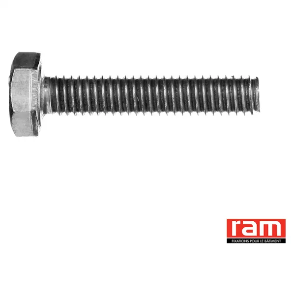BP 200 VIS T. HEX INOX 4 x 30 (95737)