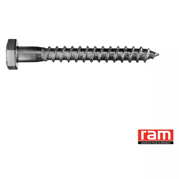 BTE 100 TIREFOND 6x60 LAITON N (94230)