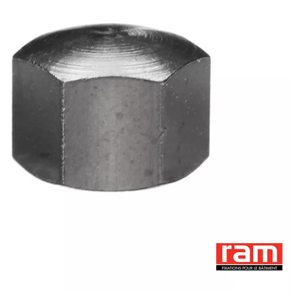 BTE 200 ECR BORGNE 8 MM LAITON CHRO (94115)
