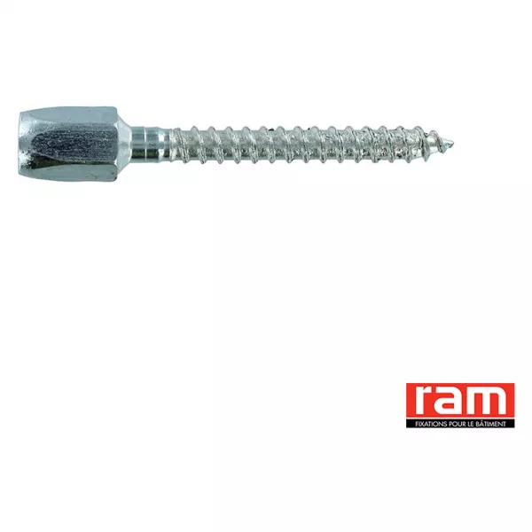 BTE 50 PITONS DE REHABILITATION M6 (91995)