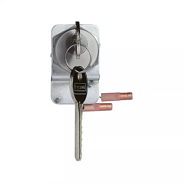 bticino-canon ptt -t25 - livr� avec 2 cl�s- pour platine rue (003748)