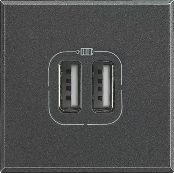 bticino-chargeur 2 usb type-a + type-c 3a 5v= 15w axolute 2 modules 230v - anthracite (bths4287c2)