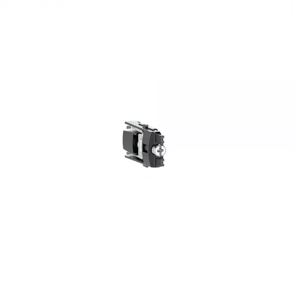 bticino-lot de 2 griffes de fixation profondeur 40mm pour appareillage alt�ge (btal0001)