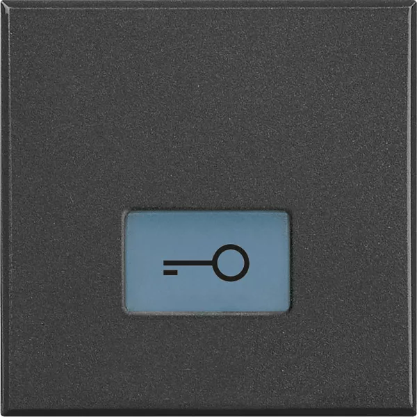 bticino-manette axolute avec symbole cl� 2 modules - anthracite (hs4921/2lf)