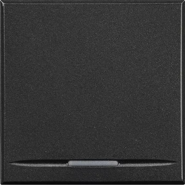bticino-manette axolute neutre type poussoir 2 modules - anthracite (hs4915/2)