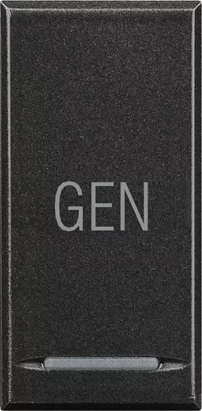 bticino-manette axolute symbole gen 1 module - anthracite (hs4915ac)