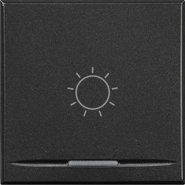 bticino-manette axolute symbole lumi�re type poussoir 2 modules - anthracite (hs4915/2ba)