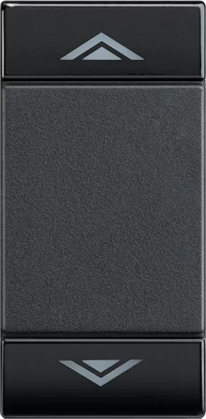 bticino-manette livinglight bus pour diffusion sonore variation 1 module - anthracite (l4911ain)