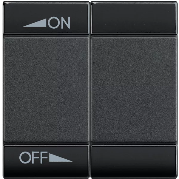 bticino-manette livinglight bus pour diffusion sonore variation 2 modules - anthracite (l4911m2ain)