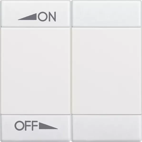 bticino-manette livinglight bus pour diffusion sonore variation 2 modules - tech (n4911m2ain)