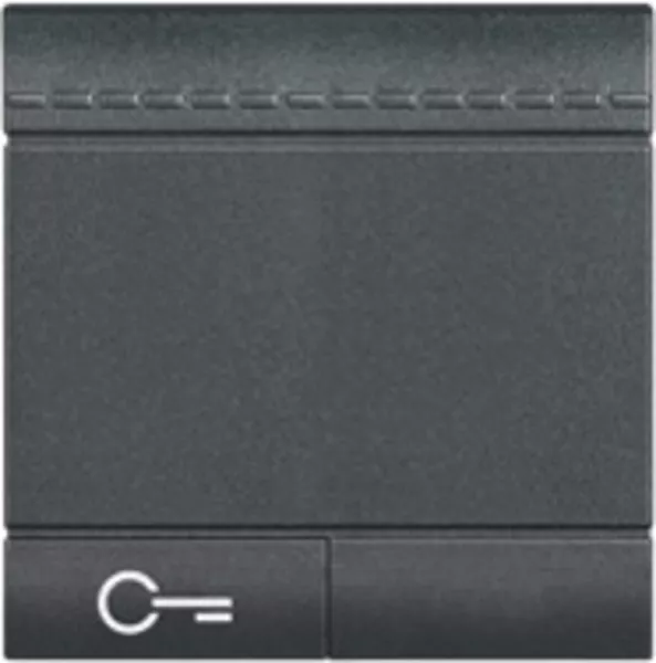 bticino-manette livinglight symbole cl� 2 modules - anthracite (l4915m2fn)
