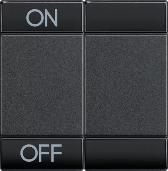 bticino-manette livinglight symbole on et off 2 modules - anthracite (l4911m2agn)