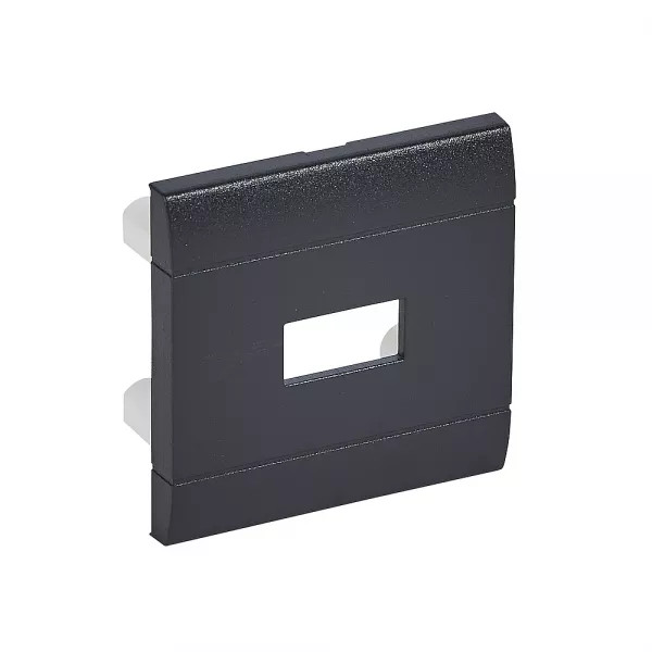 bticino-manette personnalisable pour commandes axiales livinglight -anthracite 2 modules (l4916m2t)