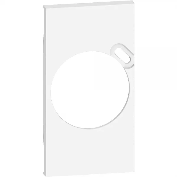 bticino-plastron de finition living now pour prise surface avec prise type-c - blanc (btkw62)