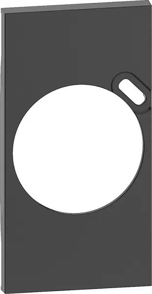bticino-plastron de finition living now pour prise surface avec prise type-c - noir (btkg62)