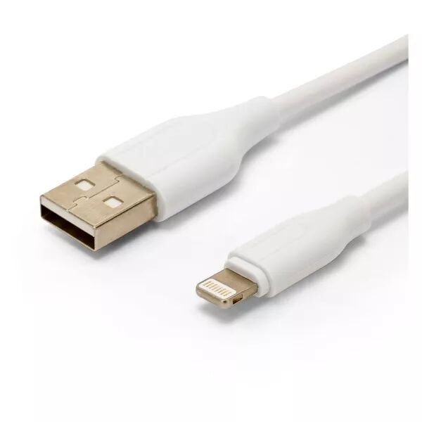 C�ble \ Sync & Charge\  / USB � 8 broches, 1 m�tre, blanc