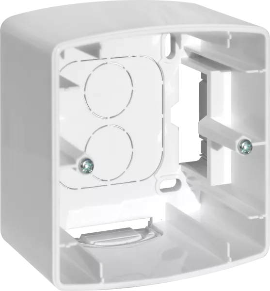 Cadre saillie 1 poste (61891)