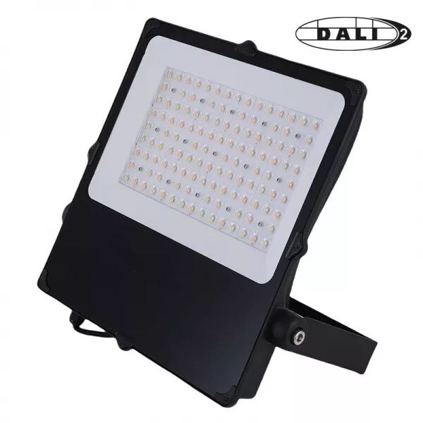 CAMUS II ASYM SPORT 180W 4000K-IRC80-IP66-IK08 27000LM 100-277V DALI2