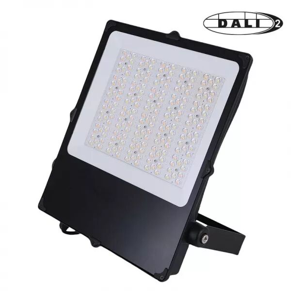 CAMUS II ASYM SPORT 280W 4000K-IRC80-IP66-IK08 42000LM 100-277V DALI2