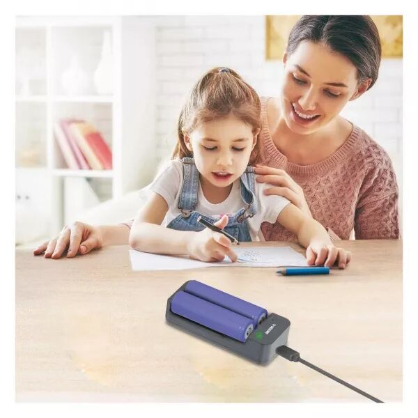 Chargeur rapide 2 canaux pour batteries Lithium-ion