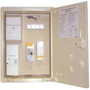 Coffret de branchement provisoire monophas� 15/45A (P490)