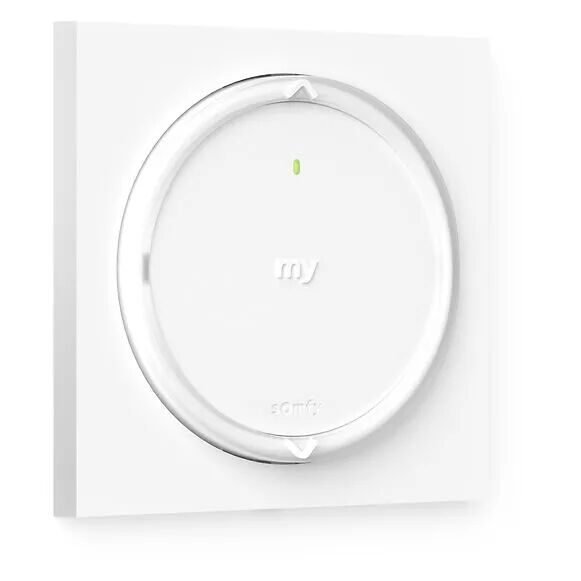 Commande 1 canal io� avec capteur de temp�rature activable via TaHoma� (1871053)