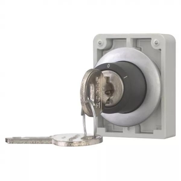 Commut-cl�, 30mm, Non compatibl serrurCombin- multi, 2 pos, � accroch, Ronis455 (187063)