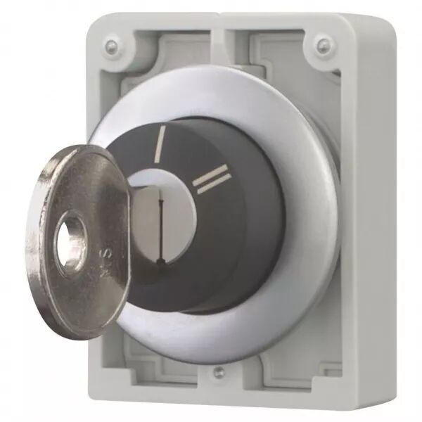 Commut-cl�, 30mm, Non compatibl serrures combin- multi, 2 pos, � accroch, inscr (187067)