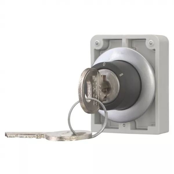 Commut-cl�, 30mm, Non compatibl serrures combin- multi, 3 pos, accroch, Ronis455 (187099)