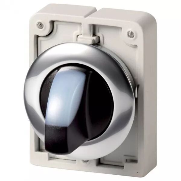 Commut rotatifs lumineux 30mm, a manette, blanc, 2 positions, � accroch (187026)