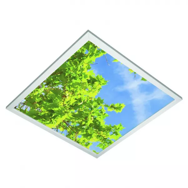 DECOSKY 60x60 36W 4000K-IRC80 2000lm (301361)