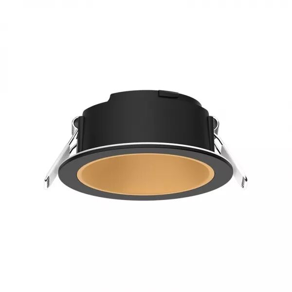 ECLAT CCT II COLLERETTE BASSE LUM ROND NOIR + INTER DORE
