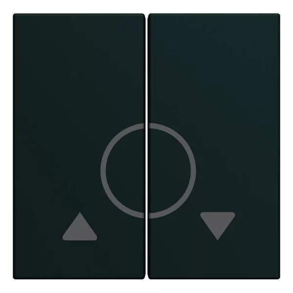 Enjoliveur Gallery volet roulant bouton poussoir 2 modules , finition Night (WXD301N)