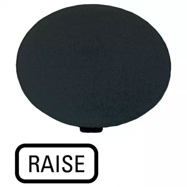 �tiquette, bouton \' coup de poing \' noir, RAISE (218293)