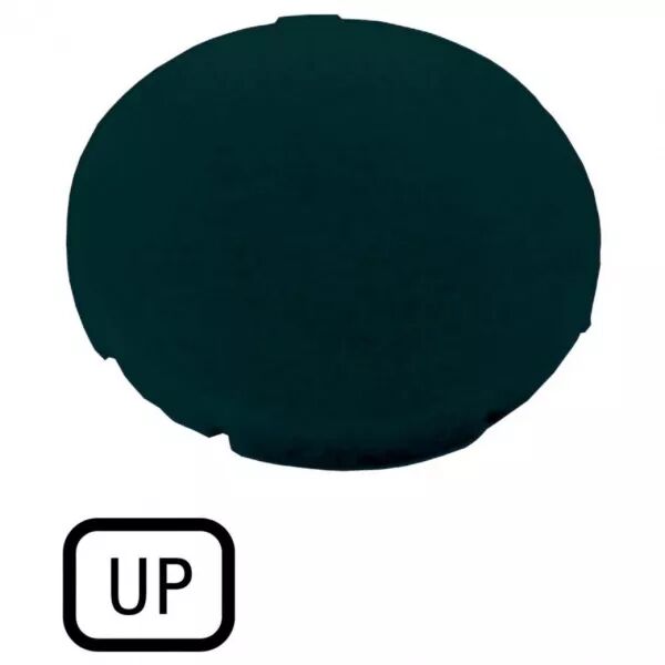 �tiquette, plate noire, UP (218199)