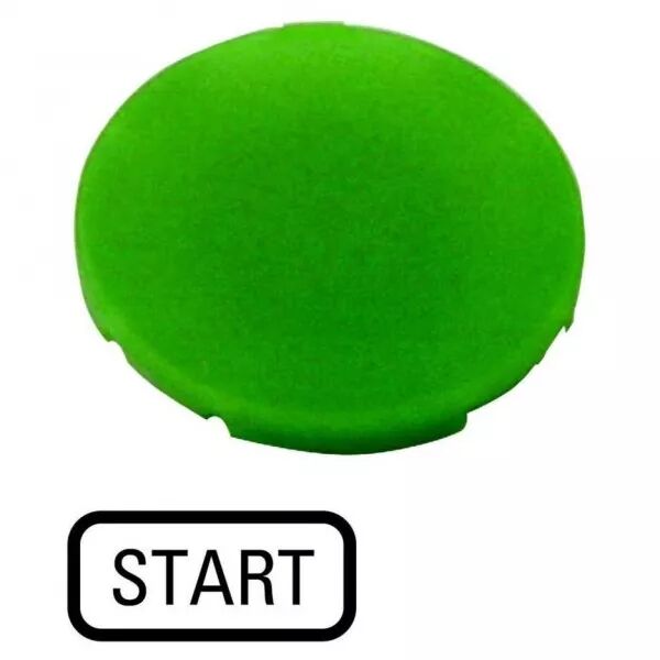 �tiquette, plate verte, START (218196)