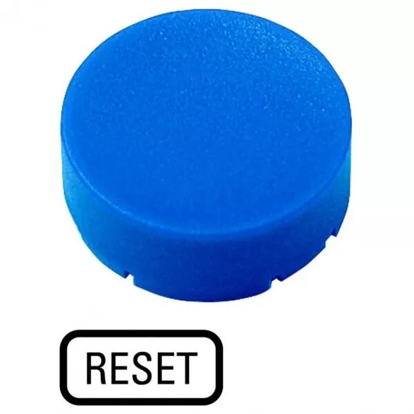 �tiquette, saillante bleue, RAZ (218249)