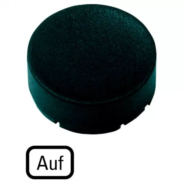 �tiquette, saillante noire, AUF (218230)